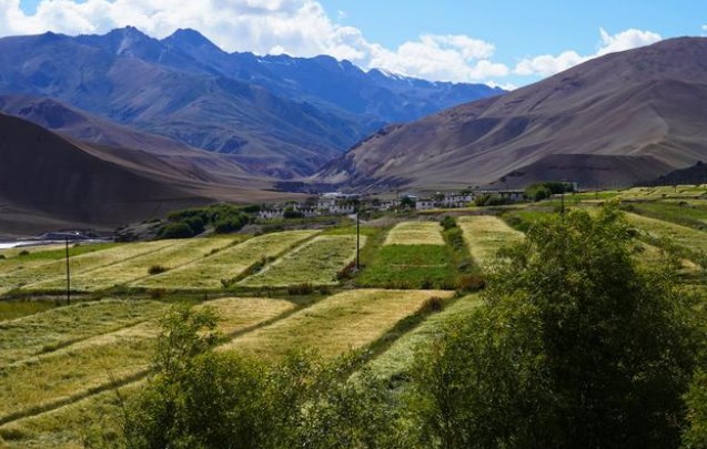 西藏普兰—阿里高原上的世外桃源