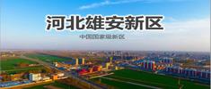 2022年雄安新区的京雄世贸港会涨价吗？